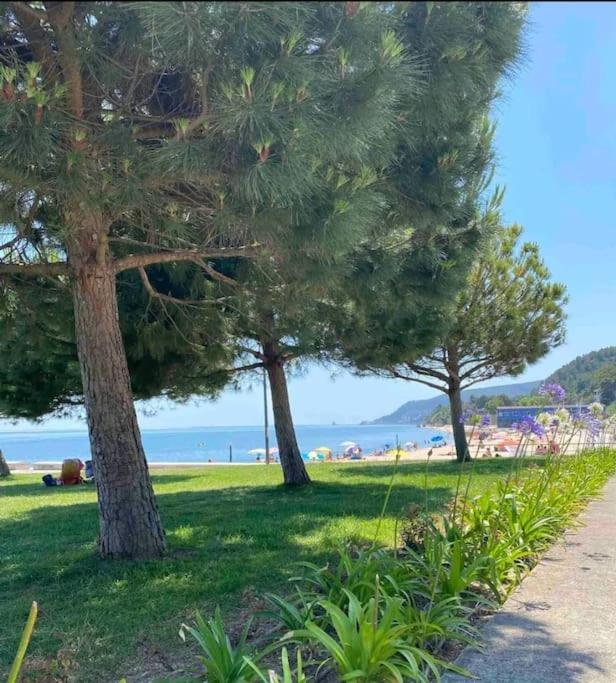 Setubal Rp House Apartamento Perto Do Mar E Comercio Na Luisa Todi Luaran gambar